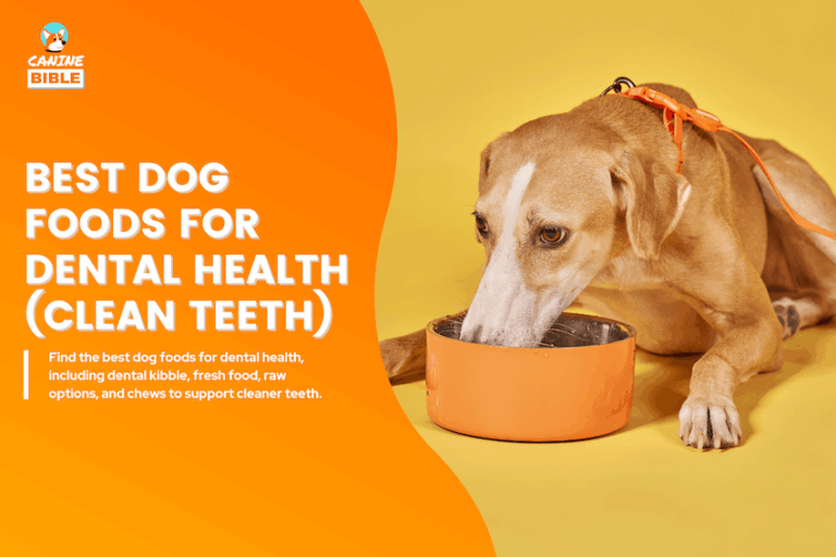 best dog foods for dental health