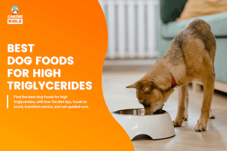 Best Dog Foods for High Triglycerides