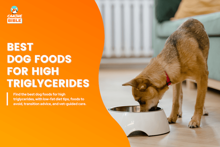 Best Dog Foods for High Triglycerides