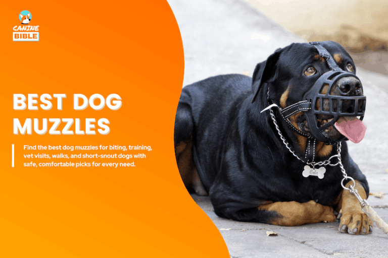 best dog muzzles