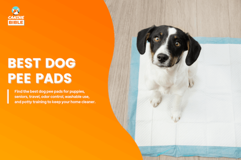 best dog pee pads