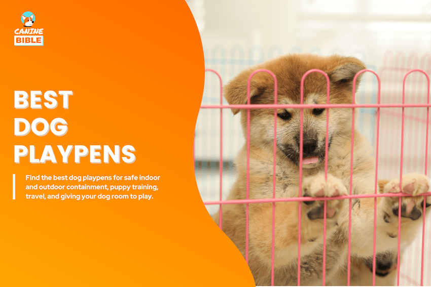 best dog playpens