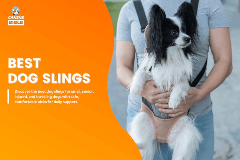 best dog slings