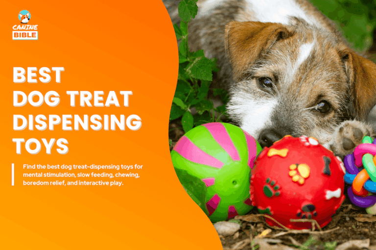 best dog treat dispensing toys