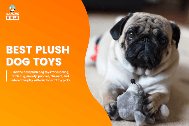 best plush dog toys