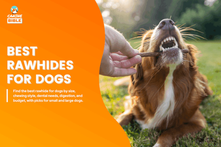 best rawhides for dogs