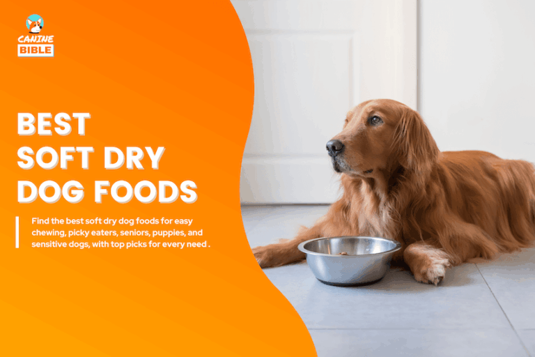 Best Soft Dry Dog Foods