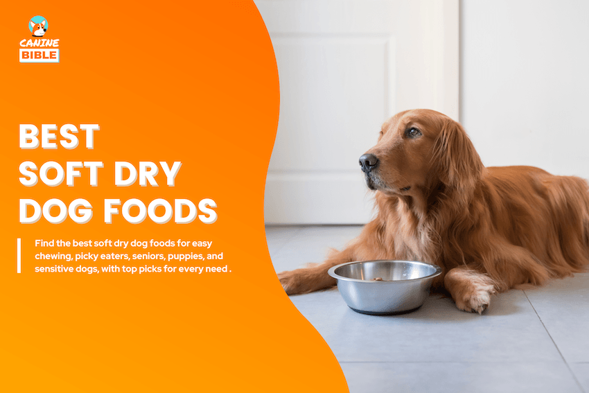 Best Soft Dry Dog Foods