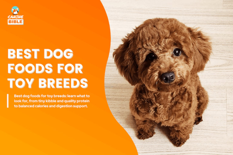 best toy breed dog foods