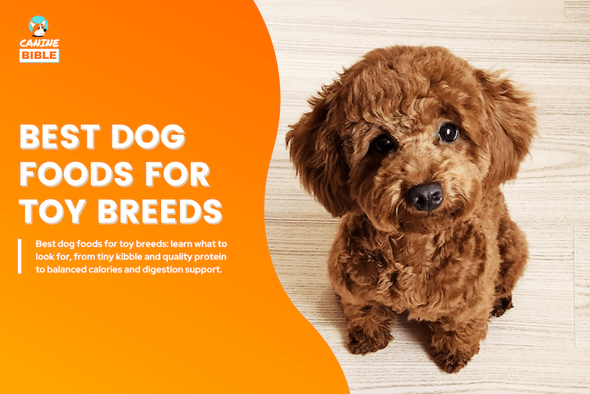 best toy breed dog foods