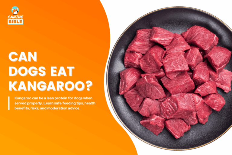Can Dogs Eat Kangaroo
