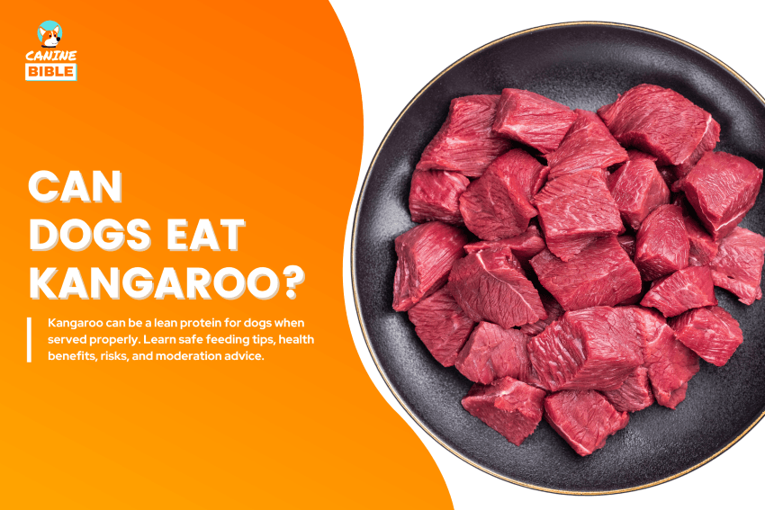 Can Dogs Eat Kangaroo