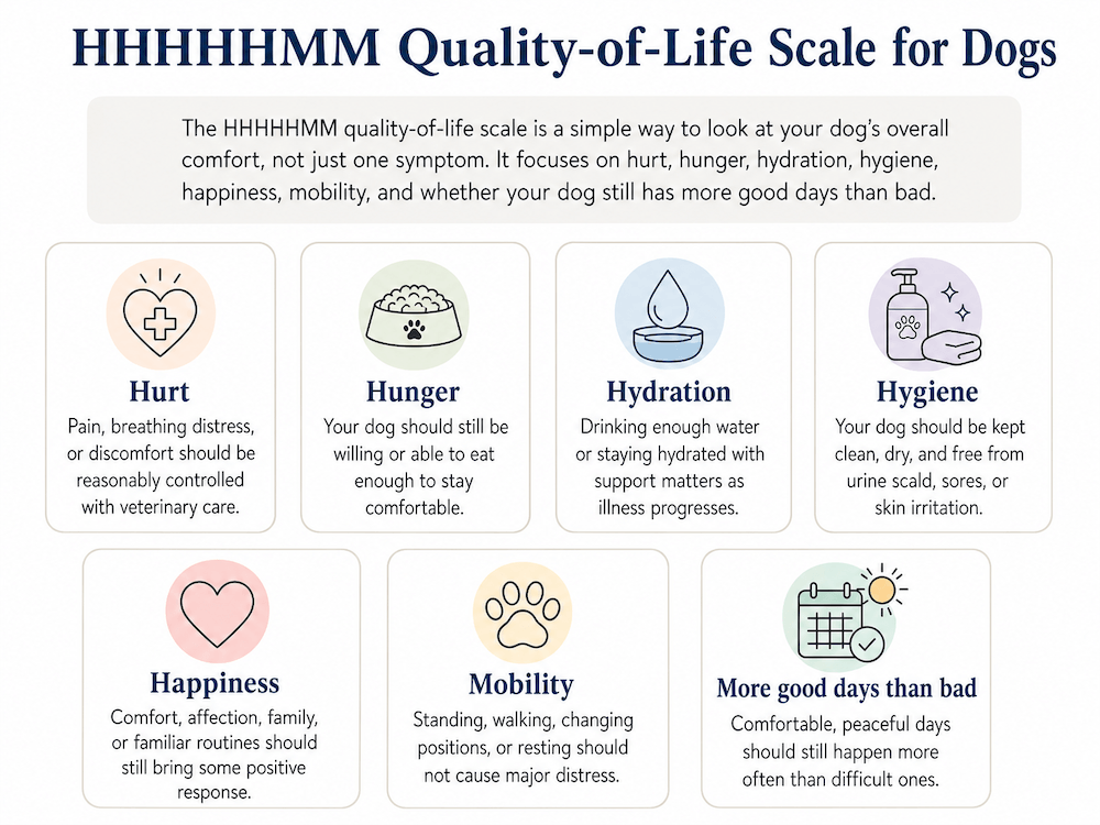 HHHHHMM Quality of Life