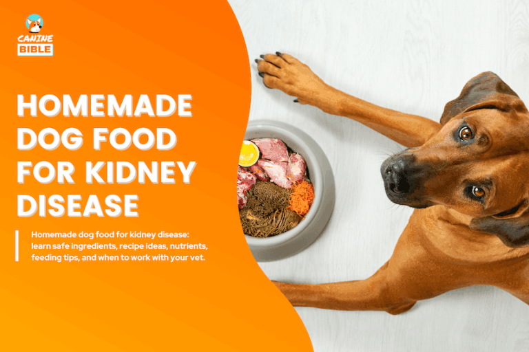 Homemade Dog Food for Kidney Disease