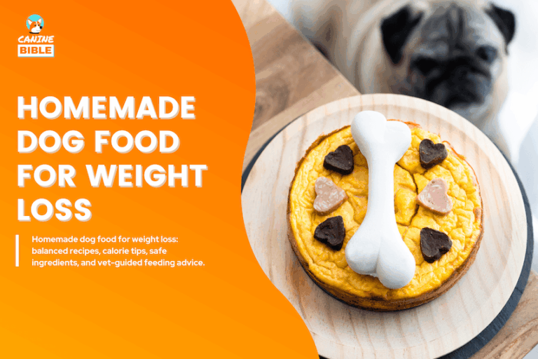Homemade Dog Food for Weight Loss