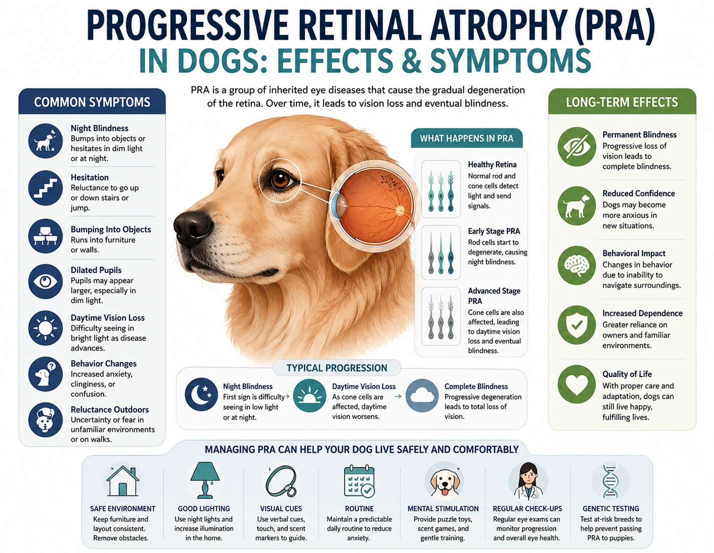Progressive Retinal Atrophy (PRA) symptoms