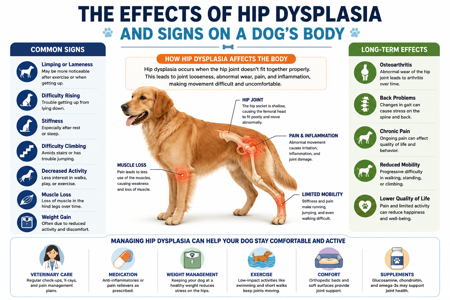 dog Hip Dysplasia symptoms