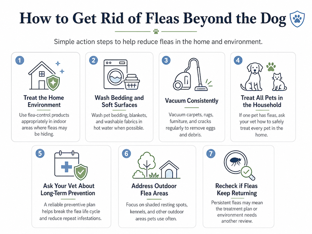 how to get rid of fleas beyond the dog