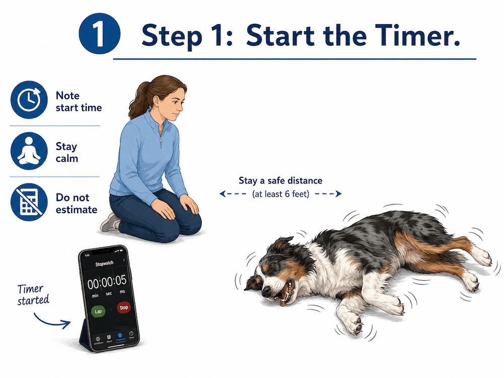 Start the timer