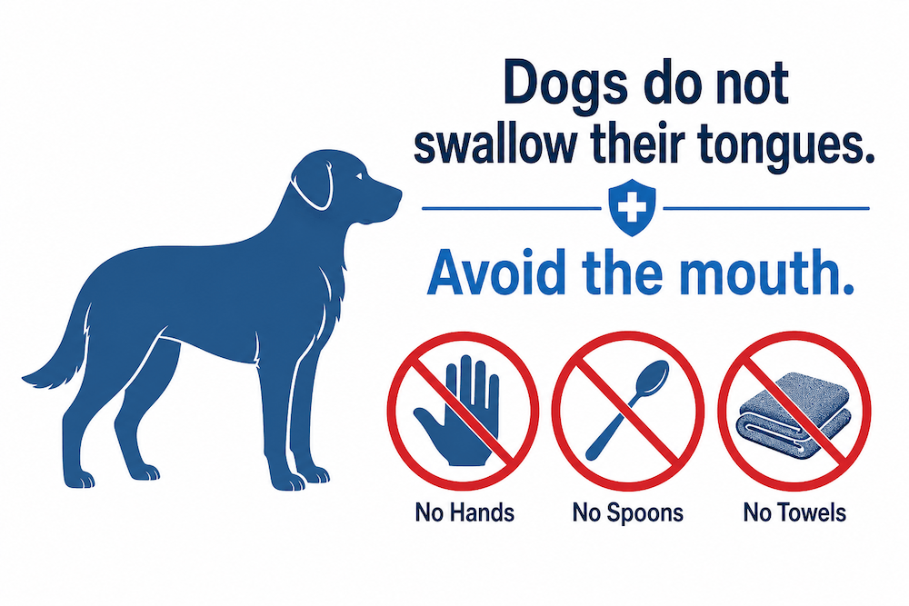 Dogs do not swallow their tongues