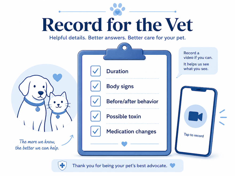Record for the vet- a pet care guide
