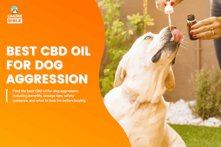 Best CBD Oil for Dog Aggression
