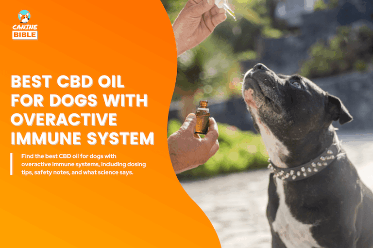 Best CBD Oil for Dogs with Overactive Immune System
