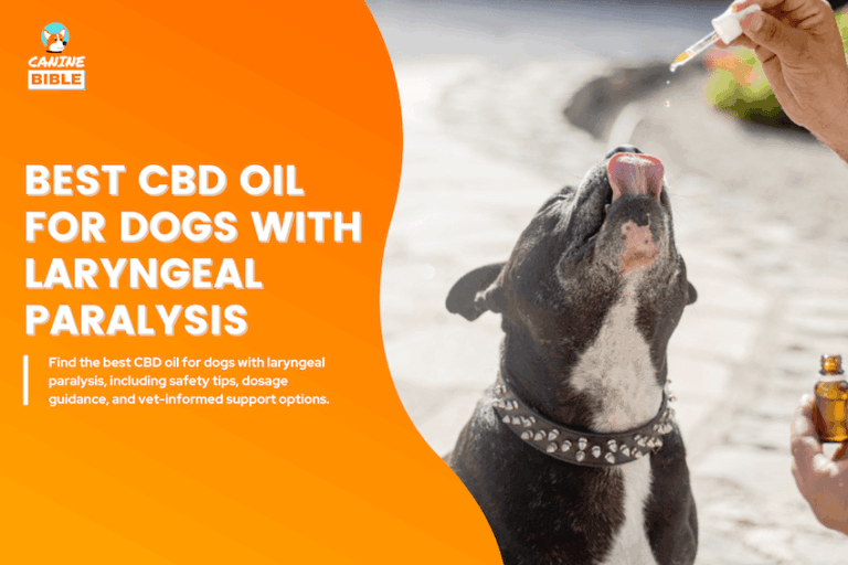 Best CBD Oil for Dogs with Laryngeal Paralysis