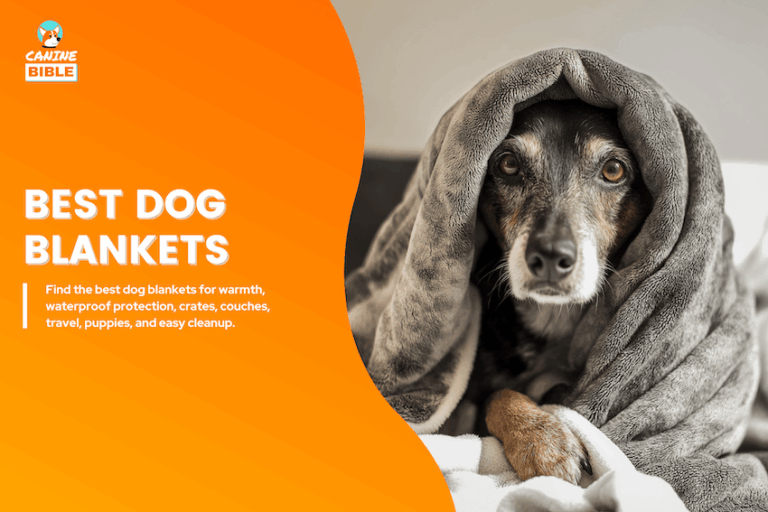 best dog blankets