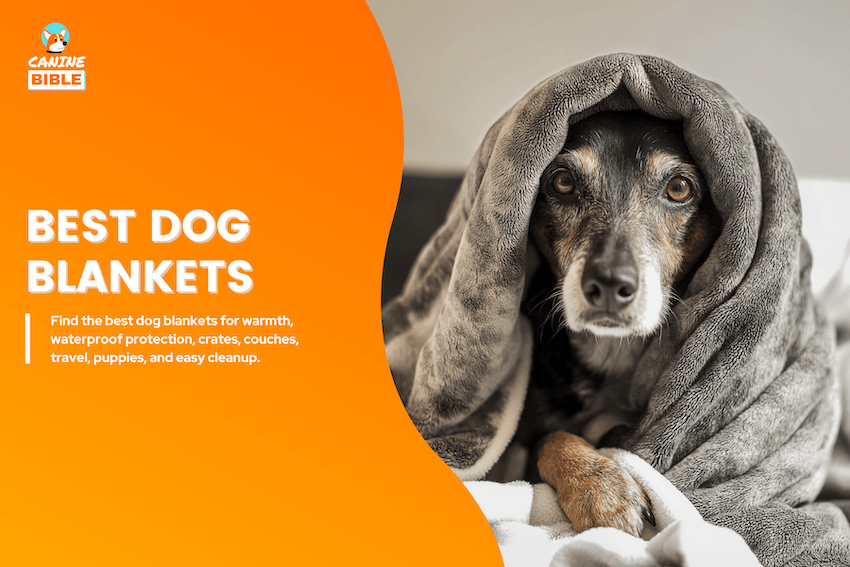best dog blankets