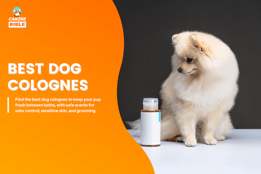 Best Dog Colognes
