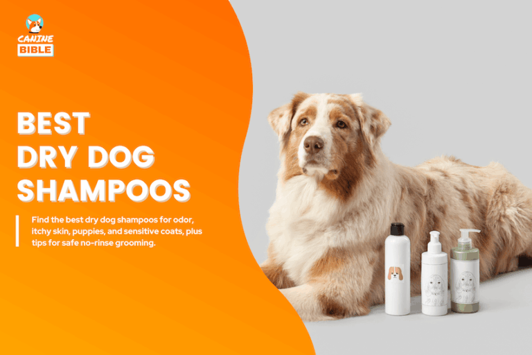 Best Dry Dog Shampoos