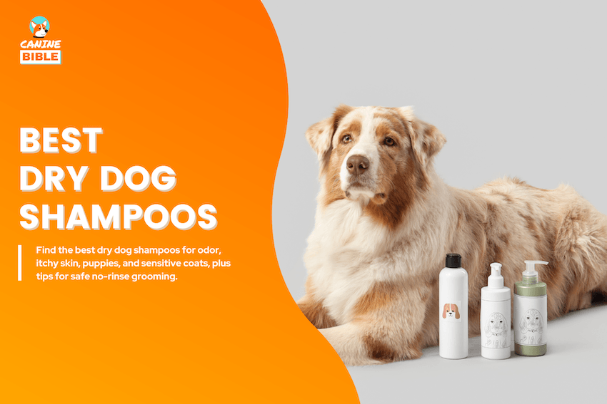 Best Dry Dog Shampoos