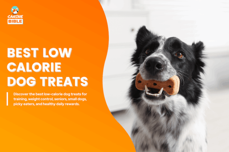 Best Low-Calorie Dog Treats