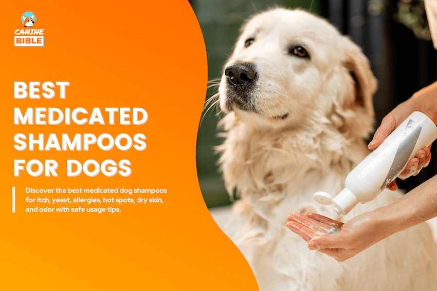 Best Medicated Dog Shampoos