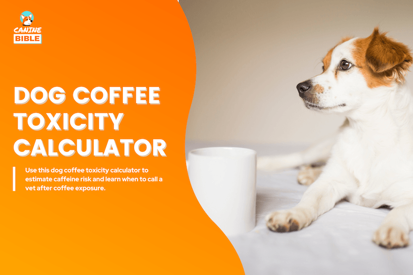 Dog Coffee Toxicity Calculator