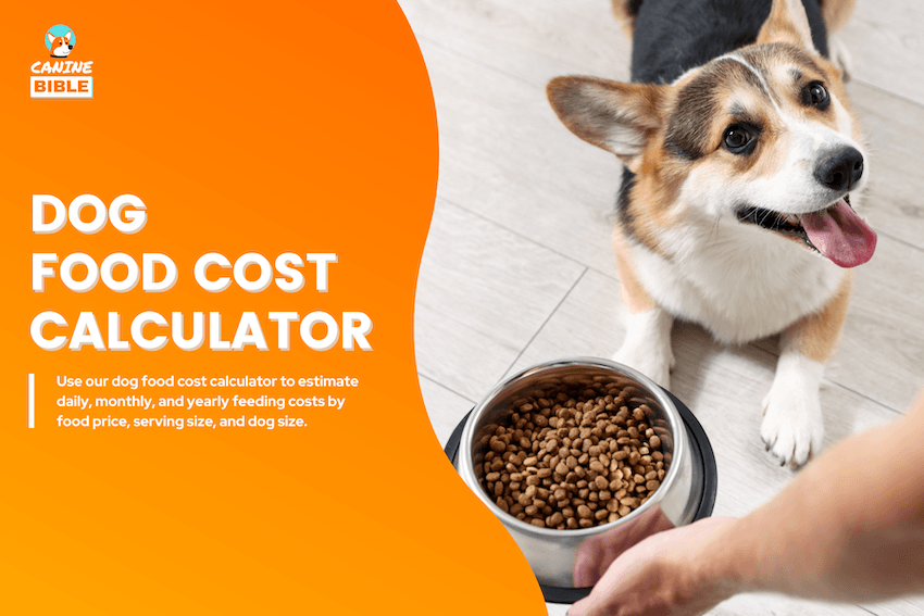 Dog Food Cost Calculator