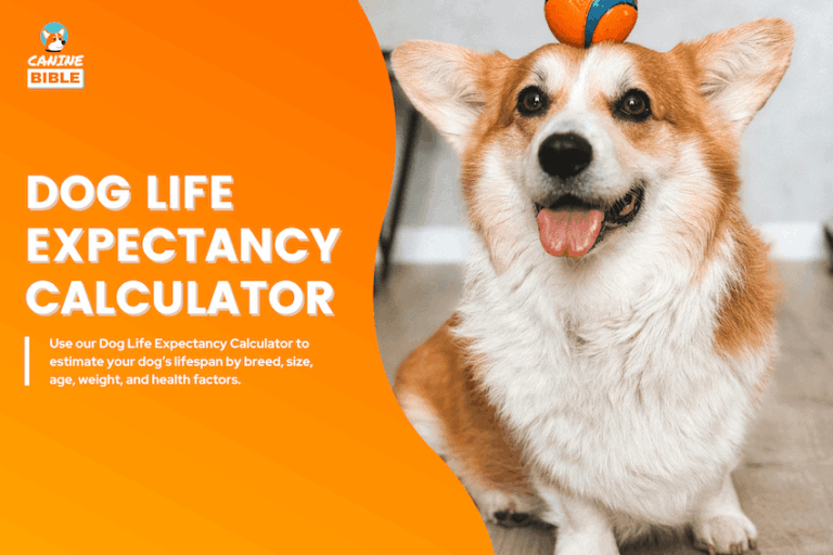 Dog Life Expectancy Calculator