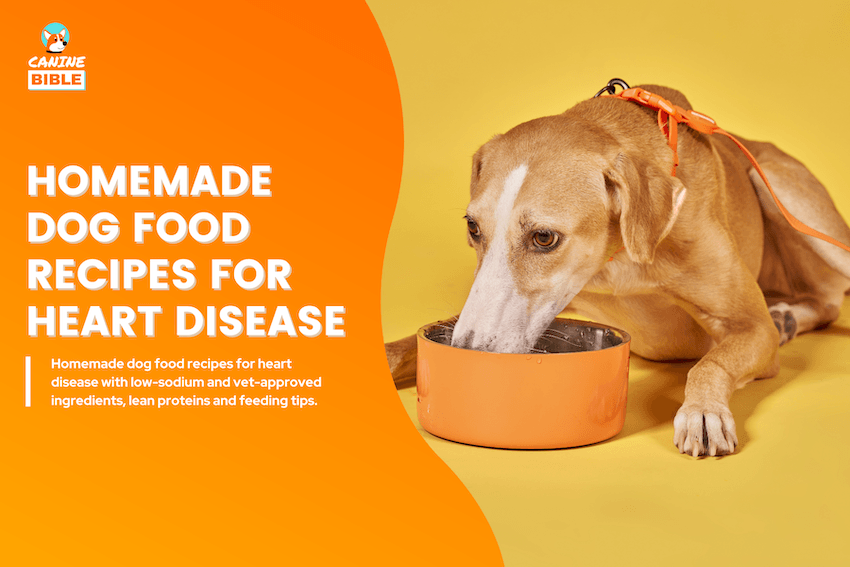 Homemade Dog Food Recipes for Heart Disease