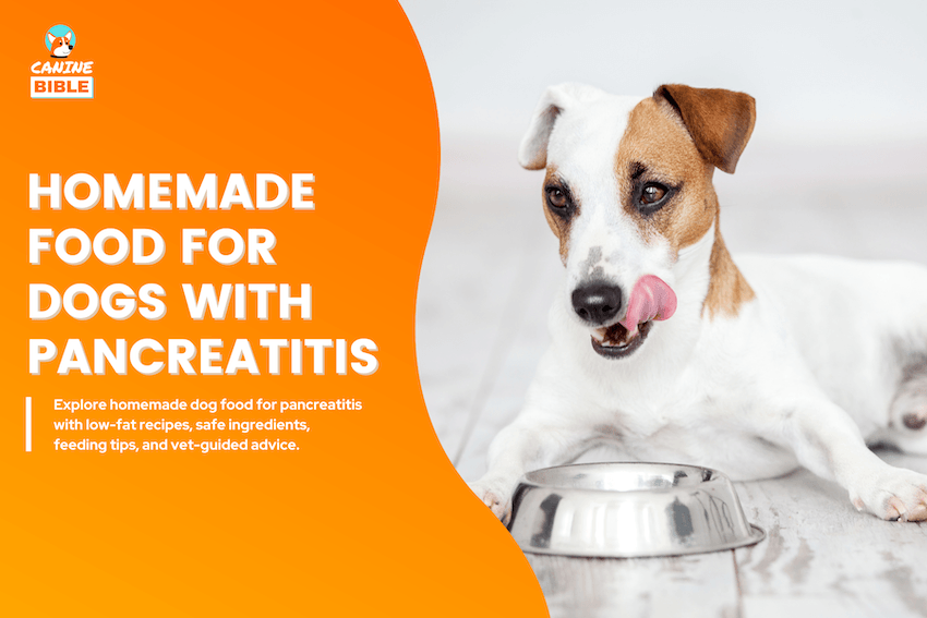 Homemade Dog Food for Dogs With Pancreatitis