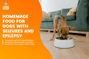 10 Homemade Food Recipes for Dogs With Seizures and Epilepsy: Vet ...