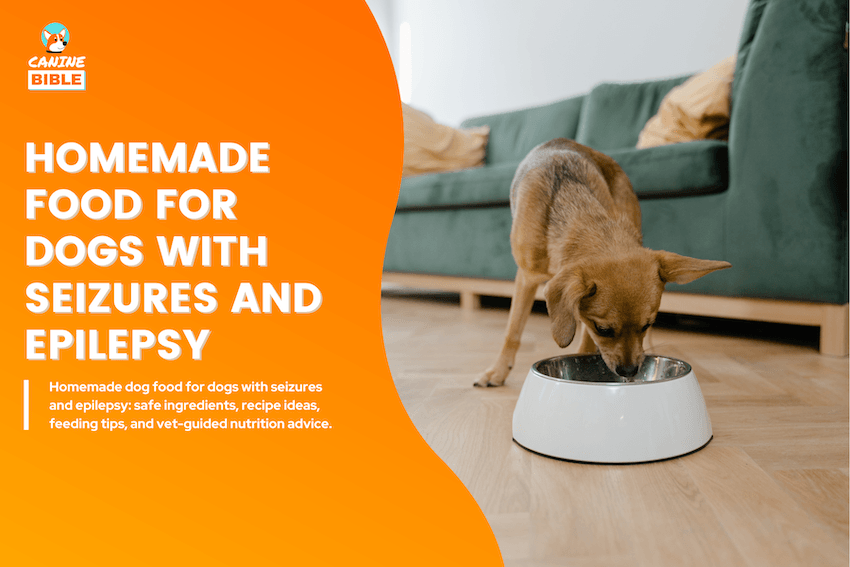 Homemade Dog Food for Dogs With Seizures and Epilepsy