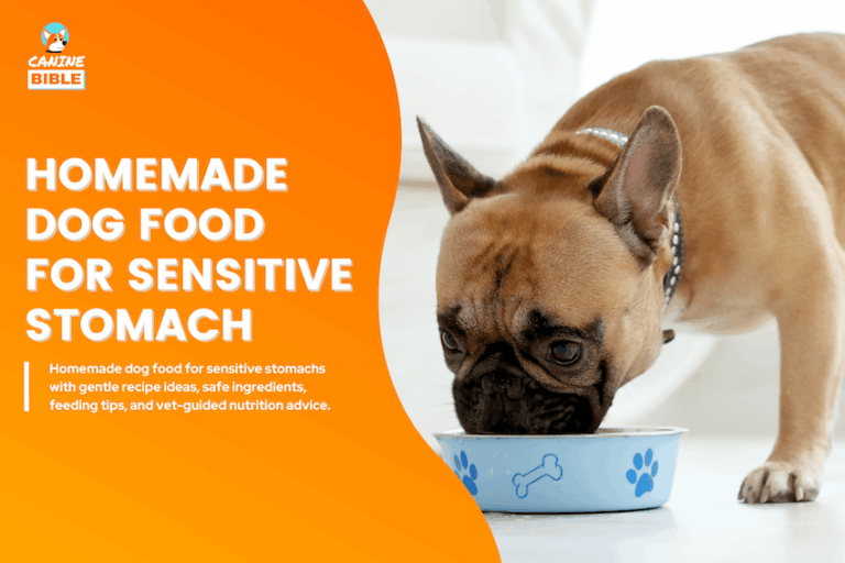 Homemade Dog Food for Sensitive Stomach