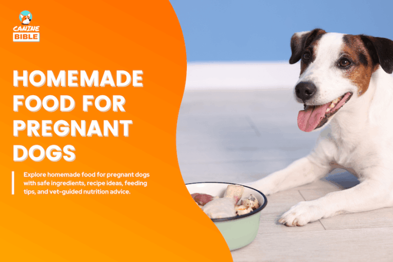 Homemade Food for Pregnant Dogs