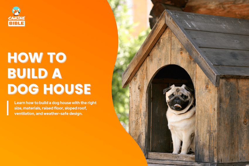 How to Build a Dog House