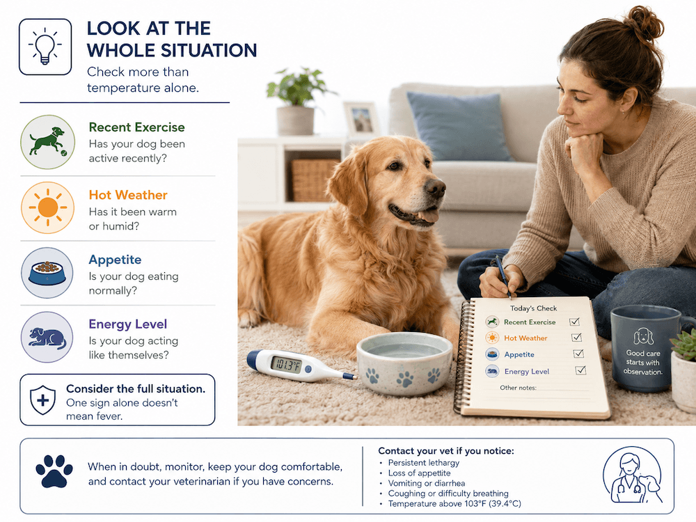 Pet health check guide