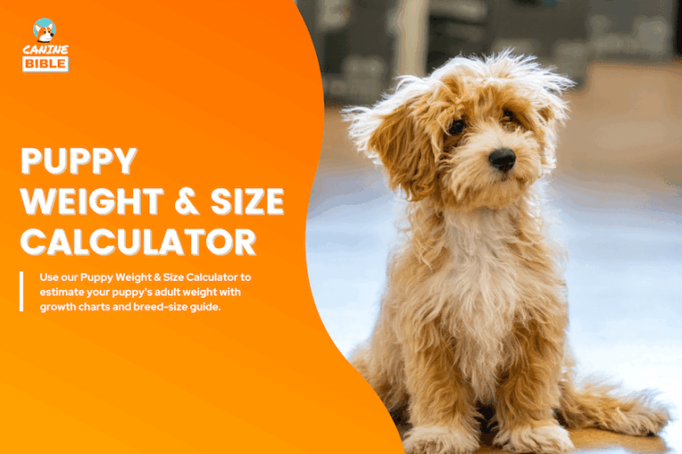 Puppy Weight & Size Calculator