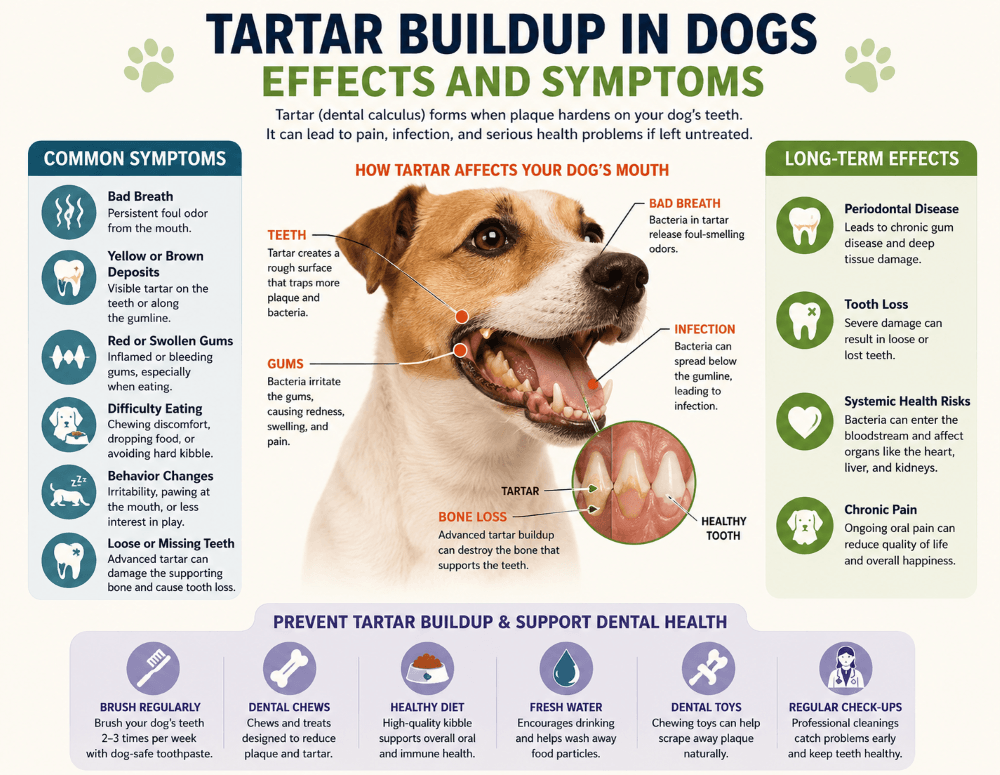 Tartar Buildup symptoms