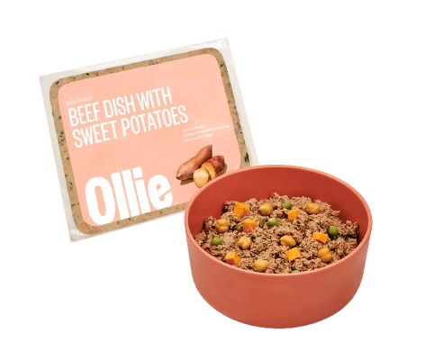 Ollie fresh dog food