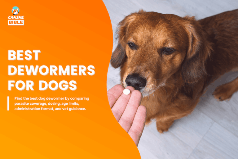 Best Dewormer for Dogs